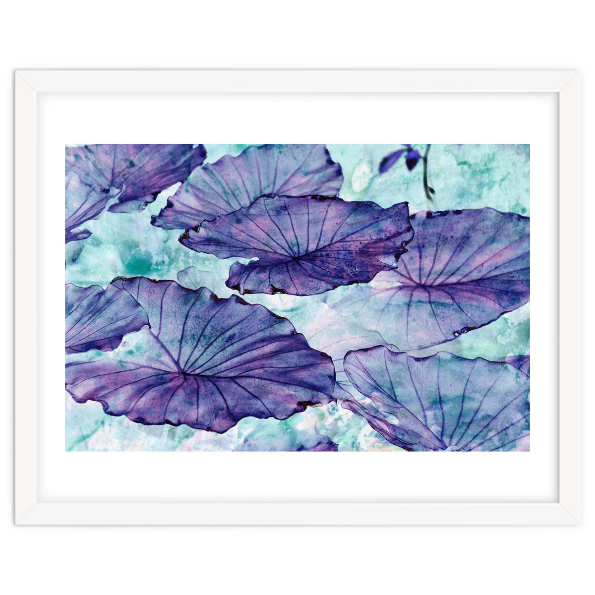 Botanical Surrealism