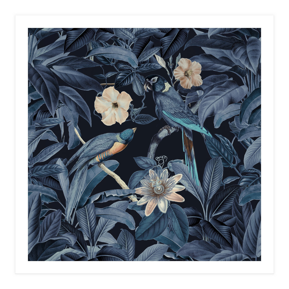 Exotic Jungle Birds At Night (Print Only)