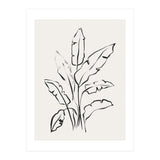 Banana Leafs Drawing (Print Only) thumbnail