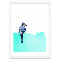 Bird Blue