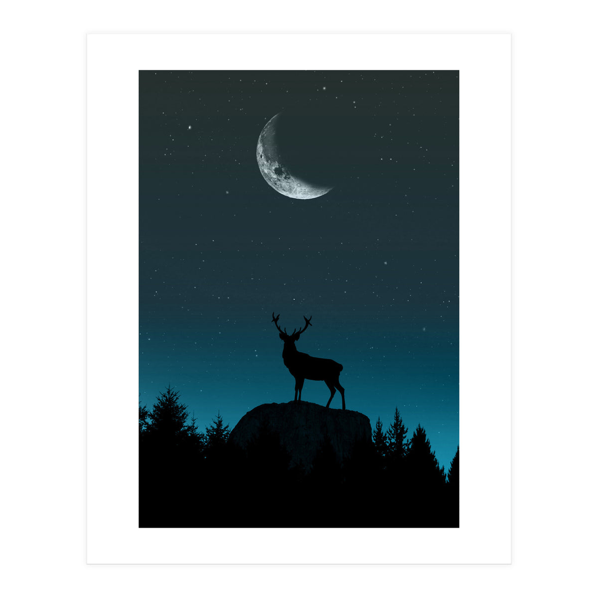 Wild Nature - Nocturne (Print Only)