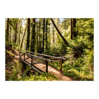 Ewoldsen Trail Bridge  (Print Only)