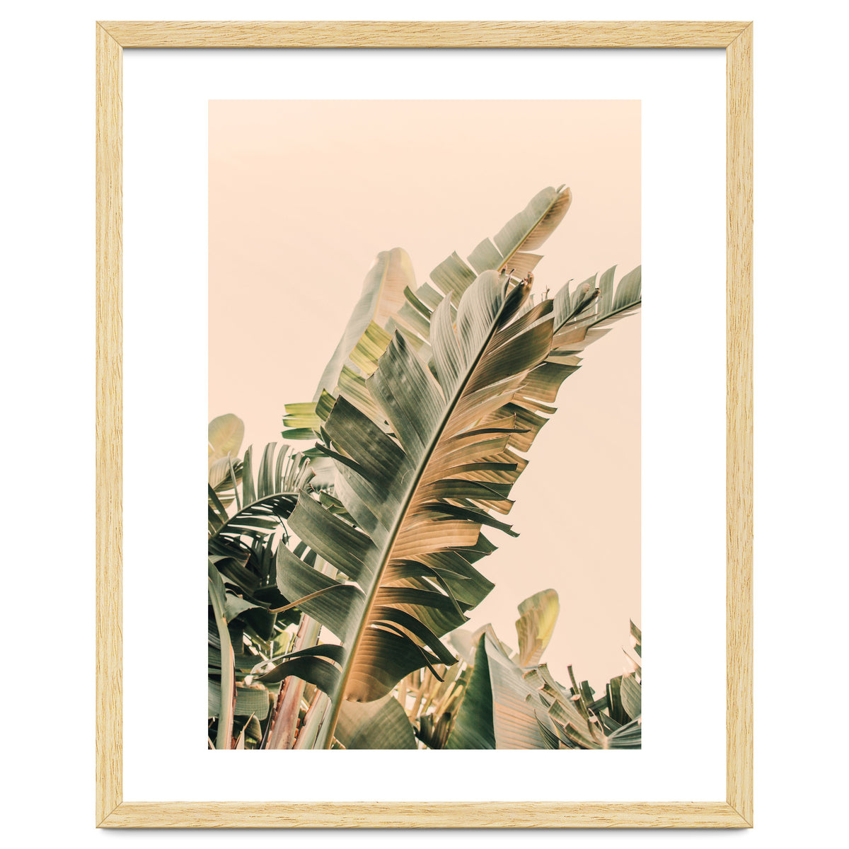 Growing Green Alicia Bock