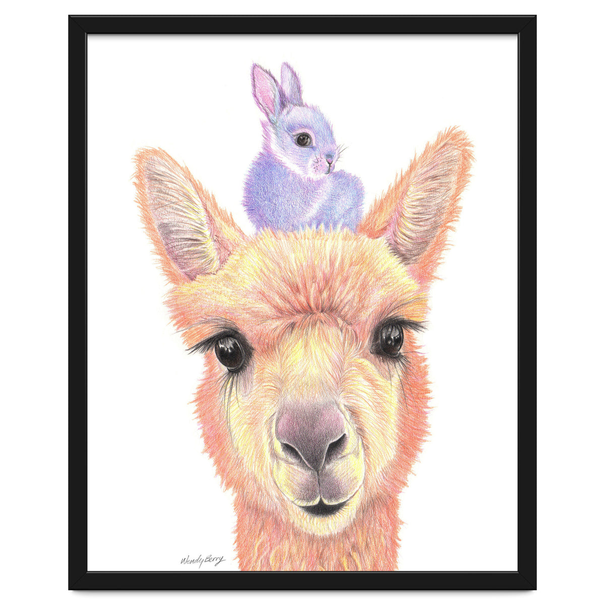 Alpaca and Bunny