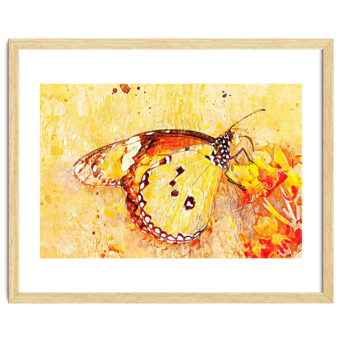 Butterfly On Aclepias