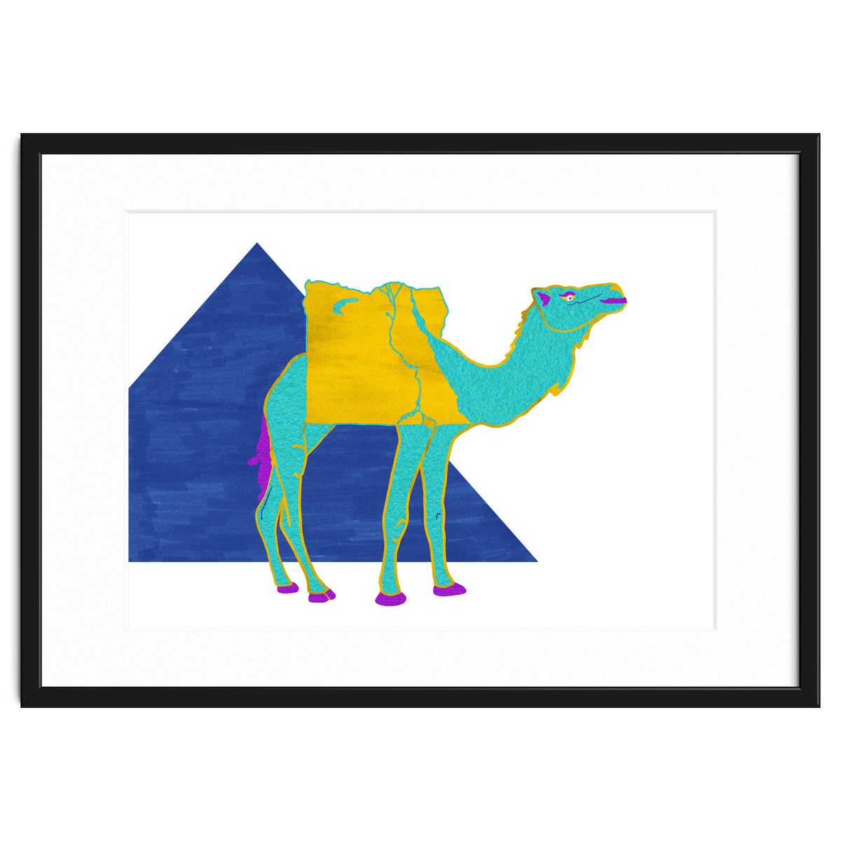 Egyptian Dromedary