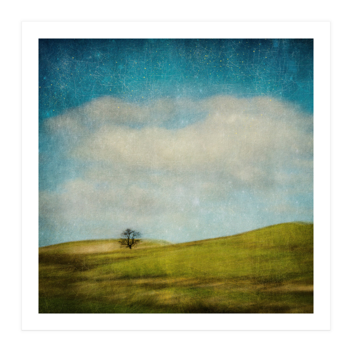 Strange Times (Print Only)