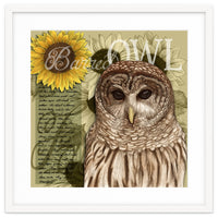 Sunflowers and Barred Owl