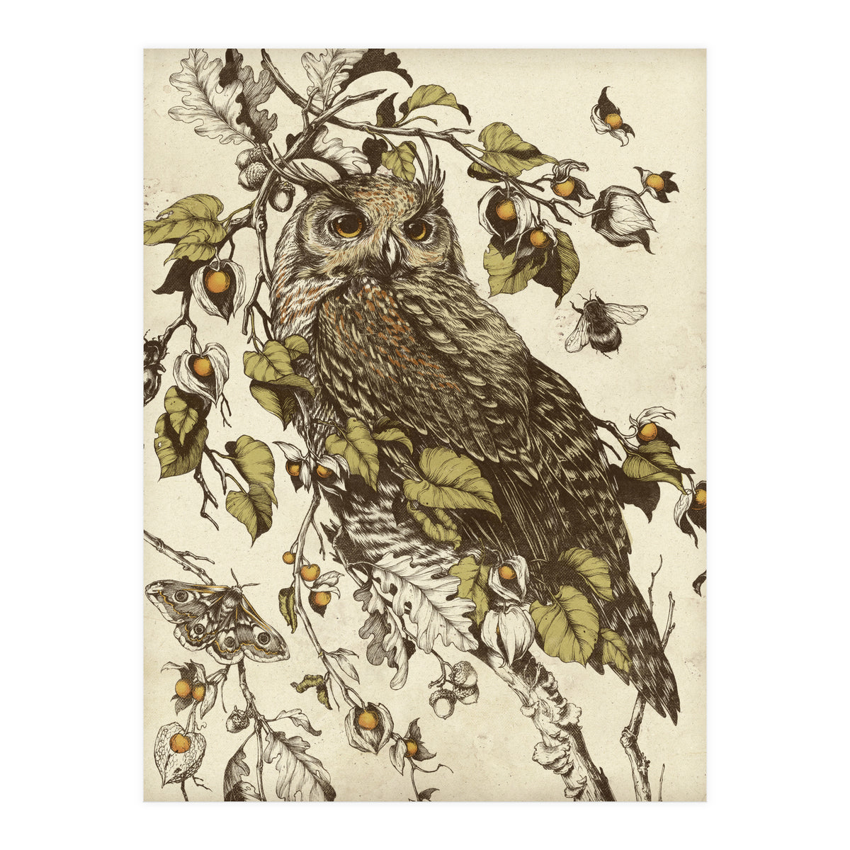 Great Horned Owl (Print Only)