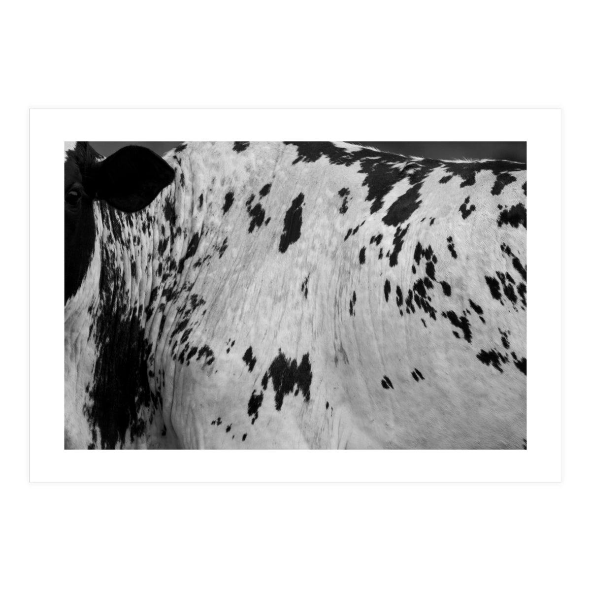 Abstract #3 (Print Only)