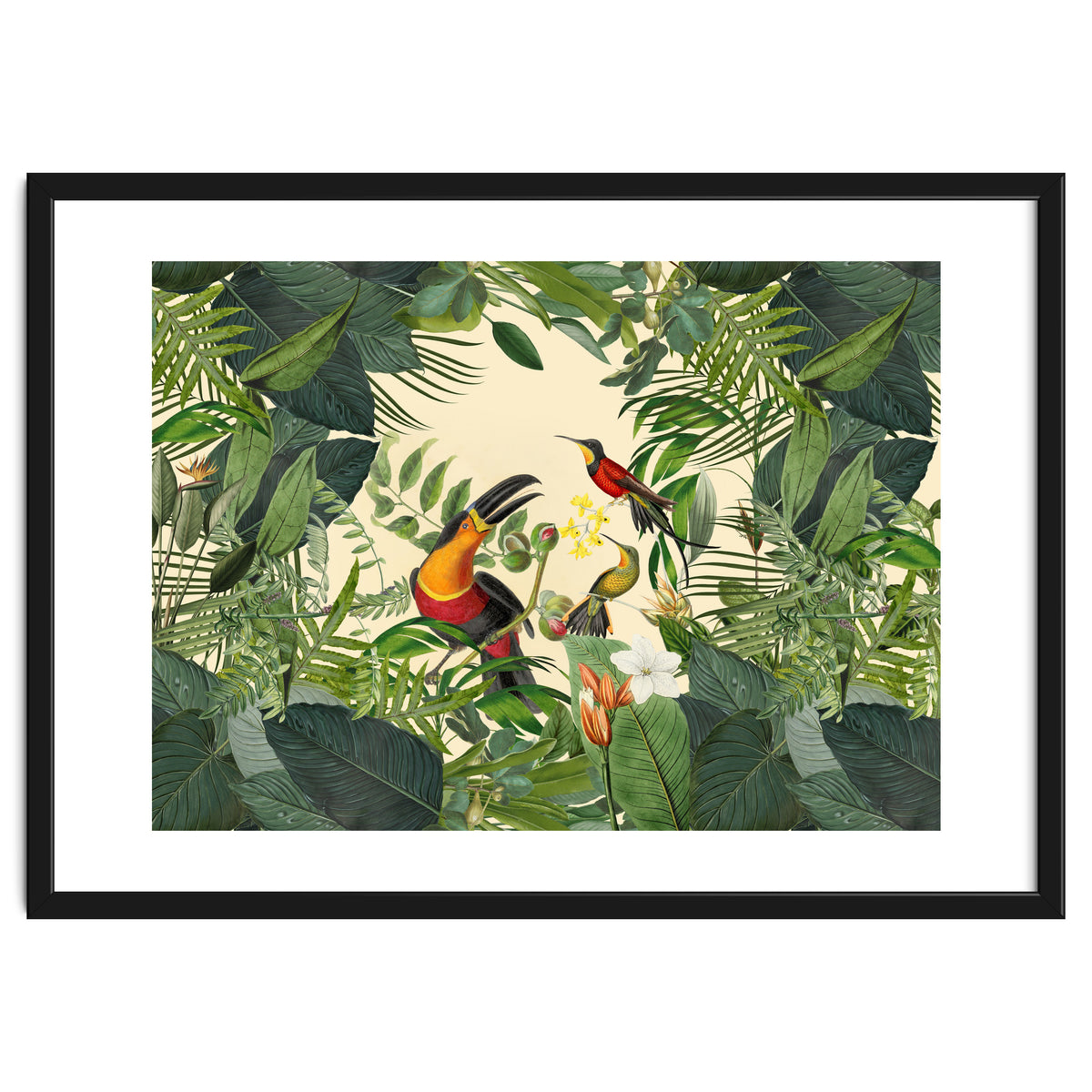 Green Jungle Toucans 2