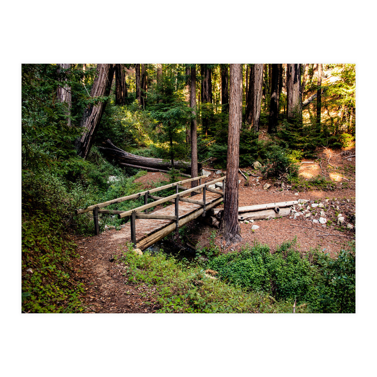 Ewoldsen Loop Bridge (Print Only)