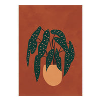 Boho Terracotta Begonia (Print Only)