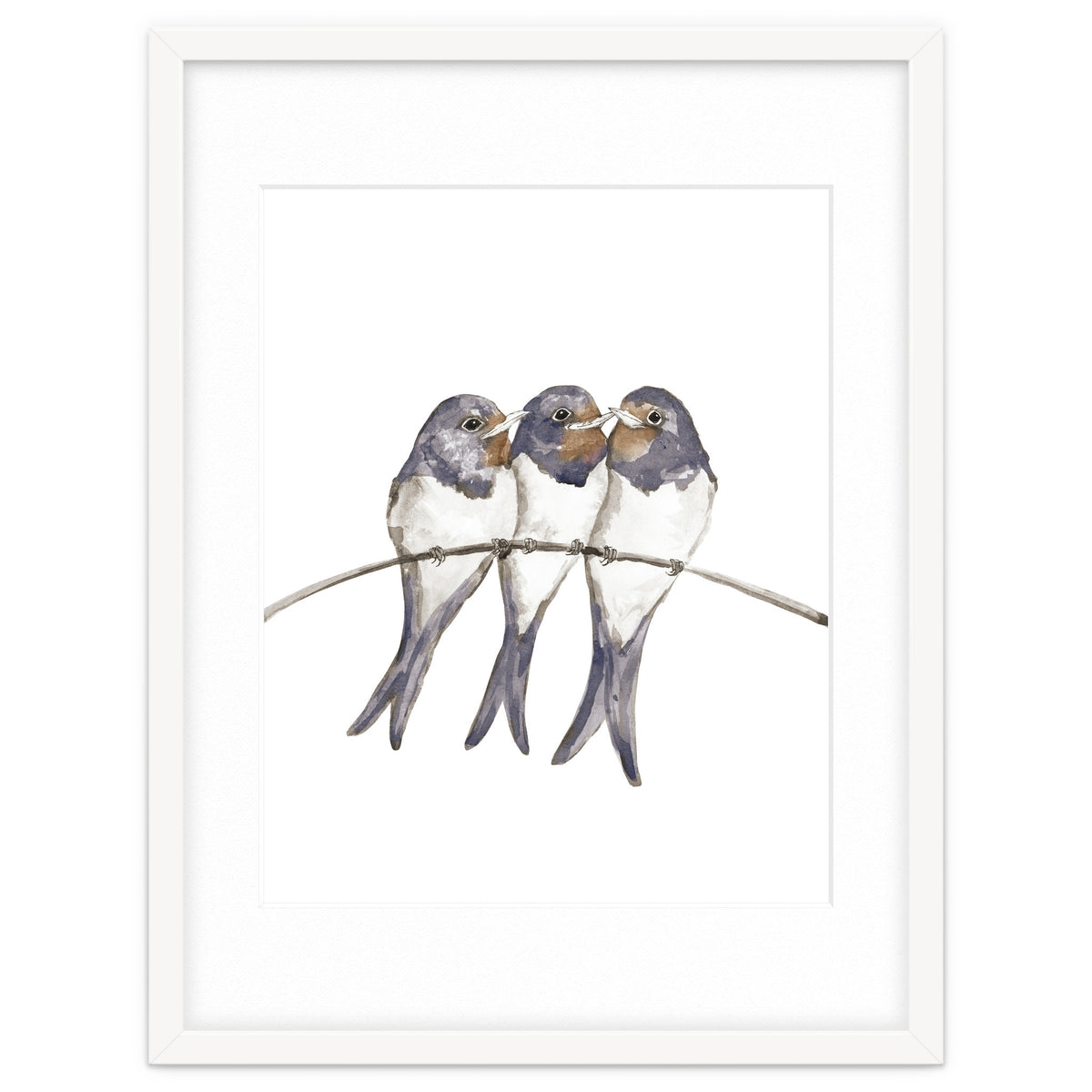 Three young swallows