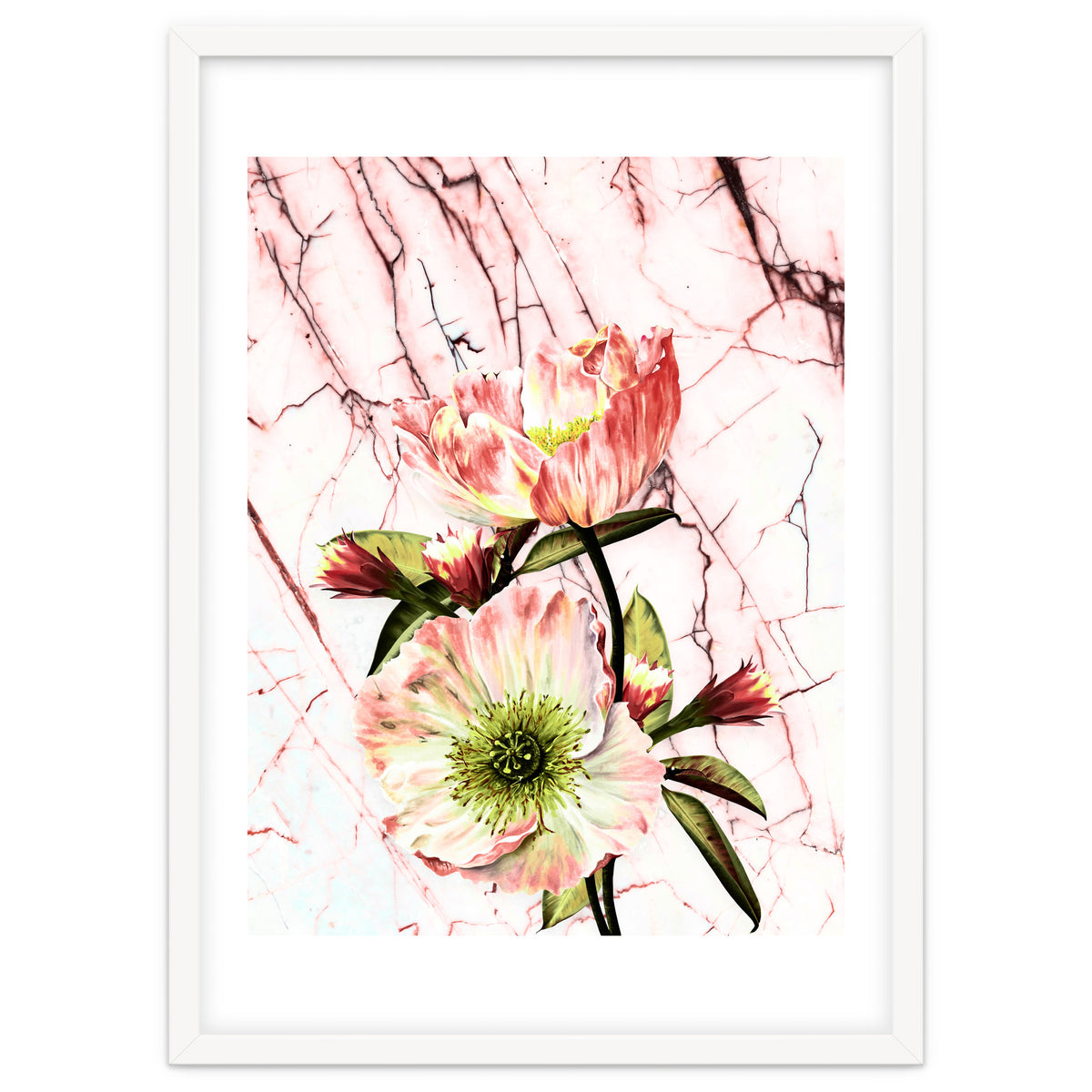 Flowering on pink marble