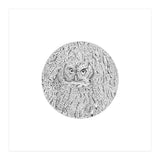 In Plain Sight (Print Only) thumbnail