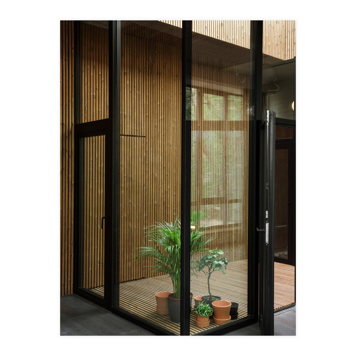 Public Place at my House (Print Only)