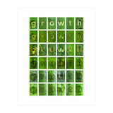 growth (Print Only) thumbnail