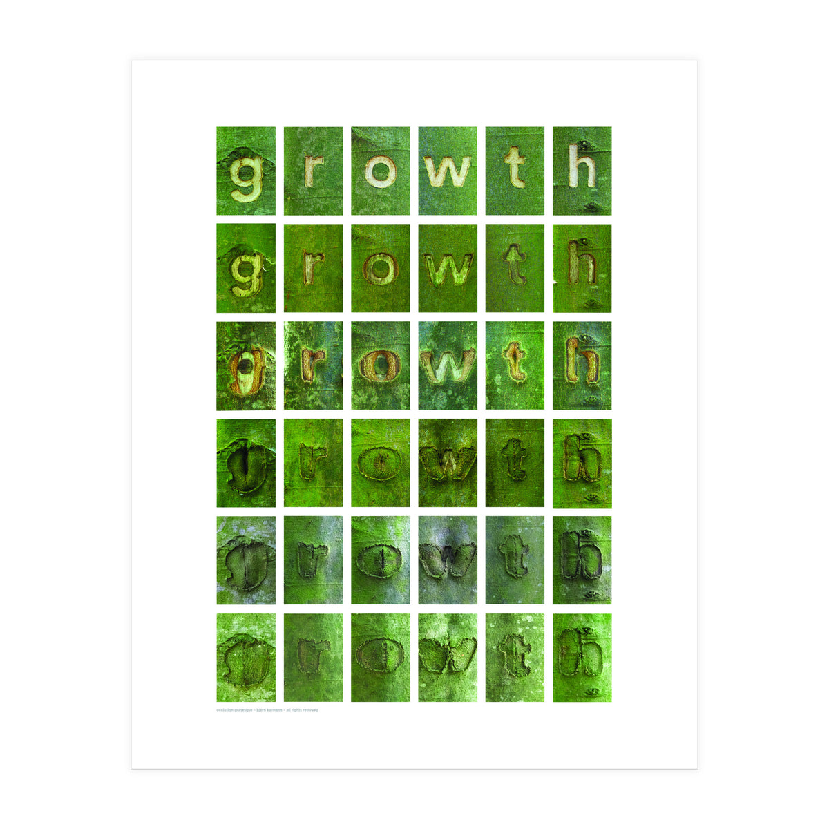 growth (Print Only)