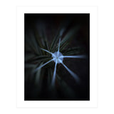 Sparkle Flower (Print Only) thumbnail