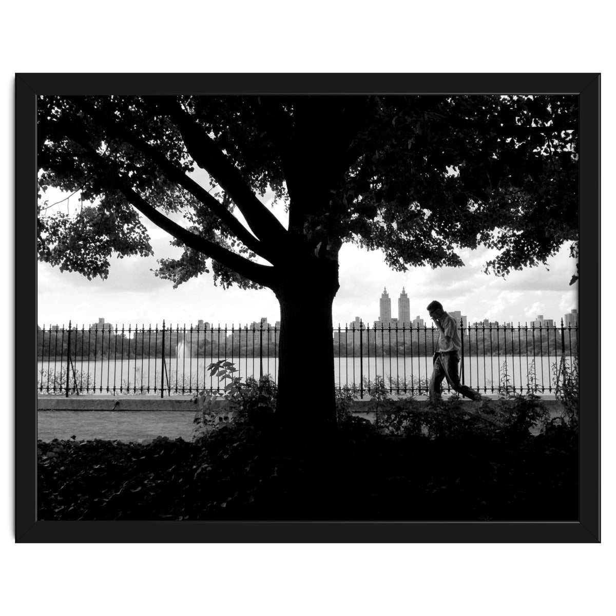 Central Park, New York City