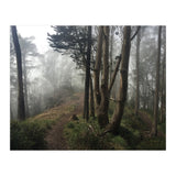 Mt. Davidson II (Print Only) thumbnail