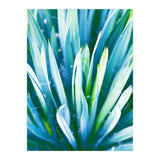 Heart Of Nature (Print Only) thumbnail