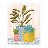 Little Garden Ii (Print Only) thumbnail