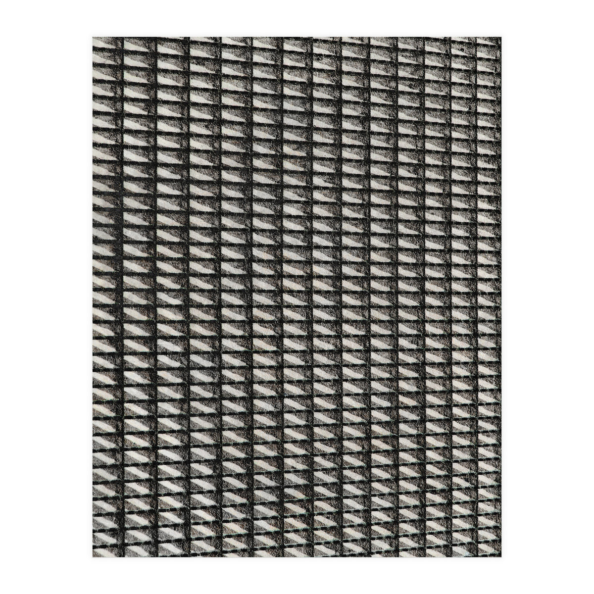 Shadowplay II (Print Only)