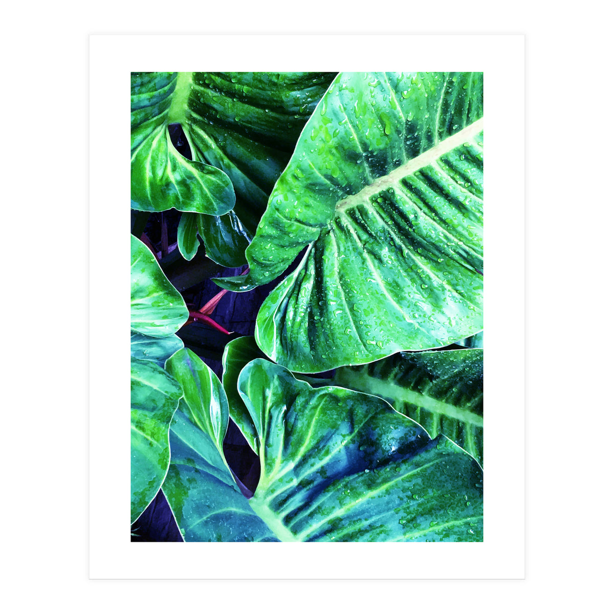 Another Botanical (Print Only)