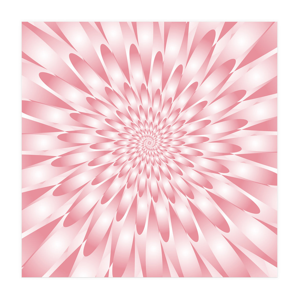 Spiral Pink Flower  (Print Only)