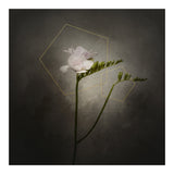 Graceful flower - Freesia | vintage style gold  (Print Only) thumbnail