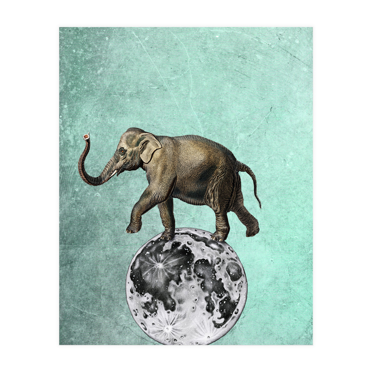 elefante sul modo (Print Only)