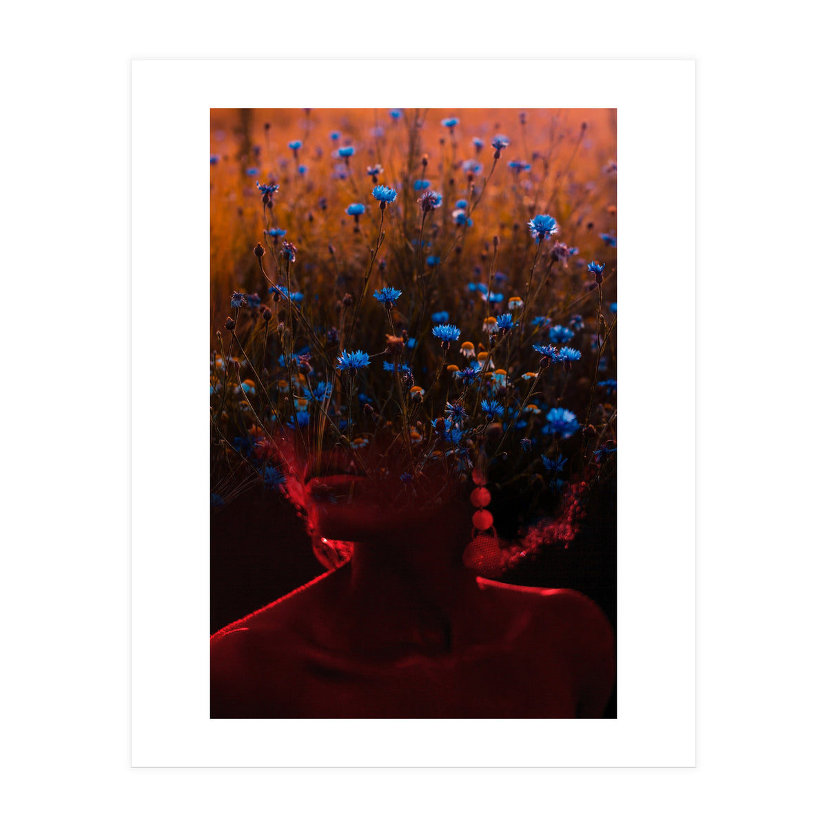 Dream Division 10 (Print Only)