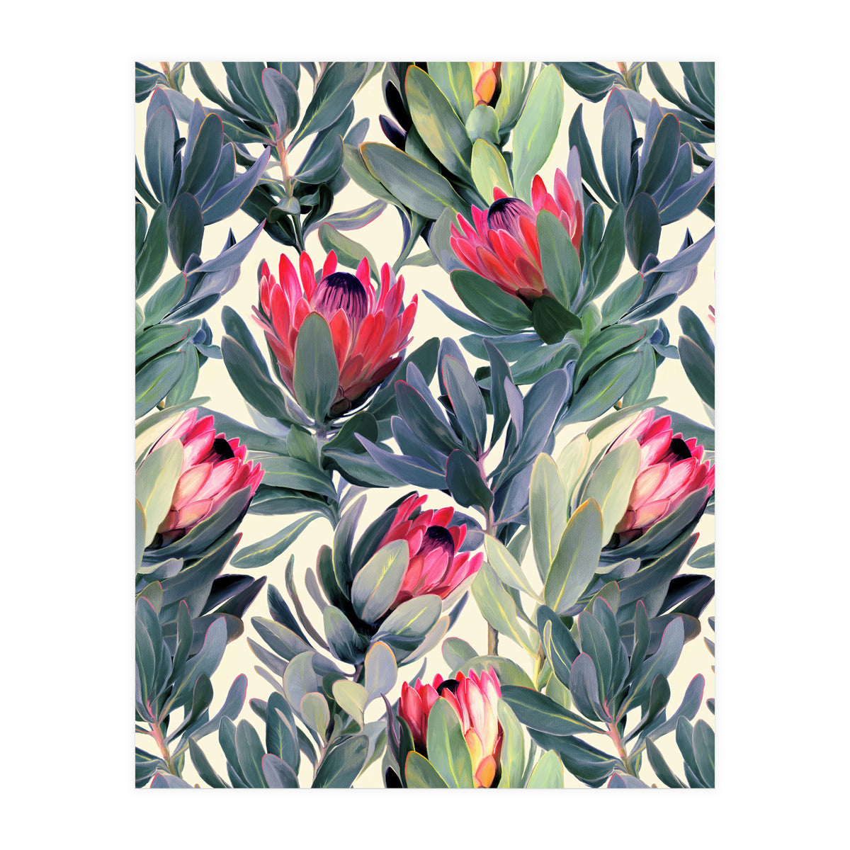Painted Protea Pattern (Print Only)