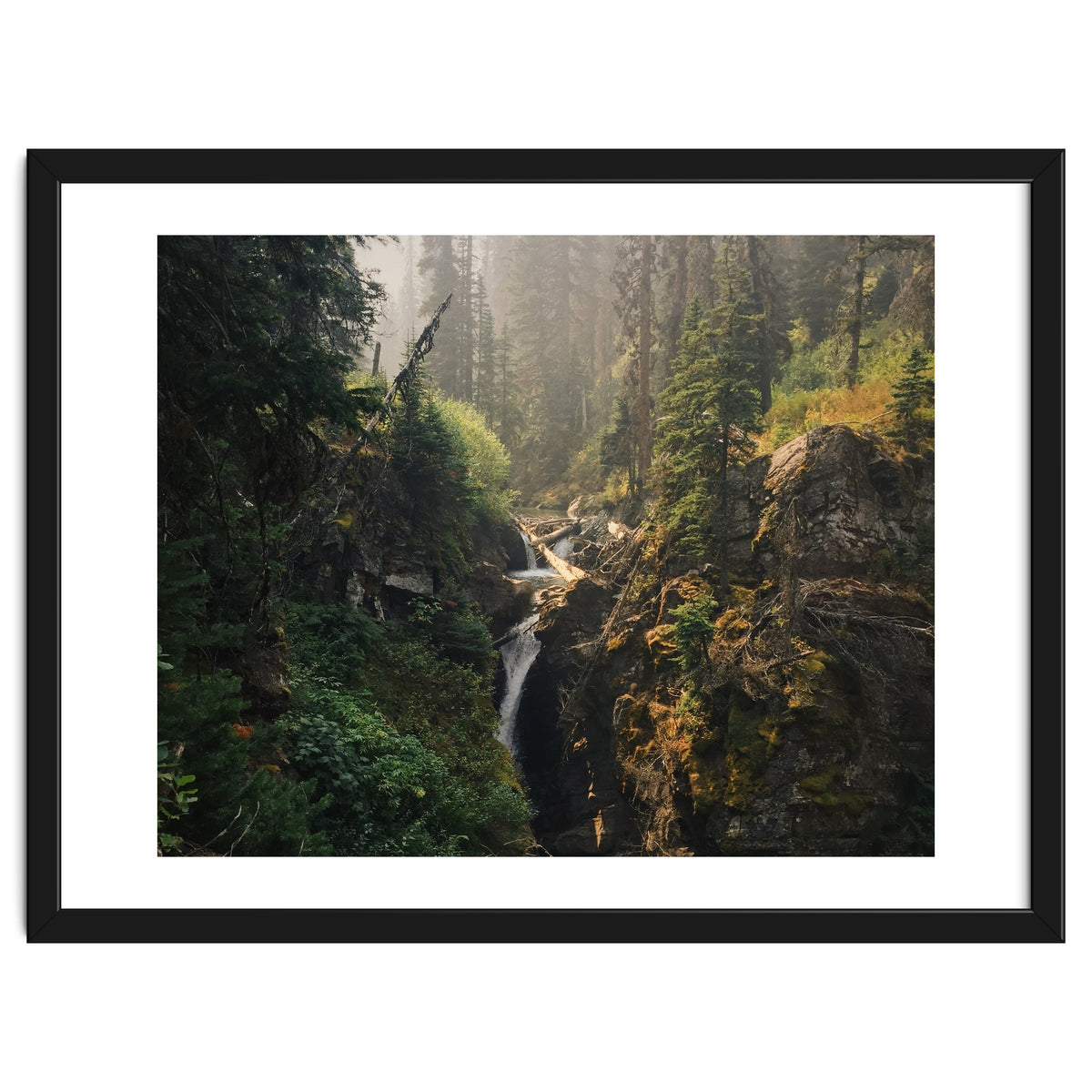 Glacier National Park I