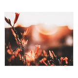 Nature (Print Only) thumbnail