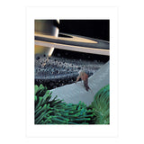 Titan (Print Only) thumbnail
