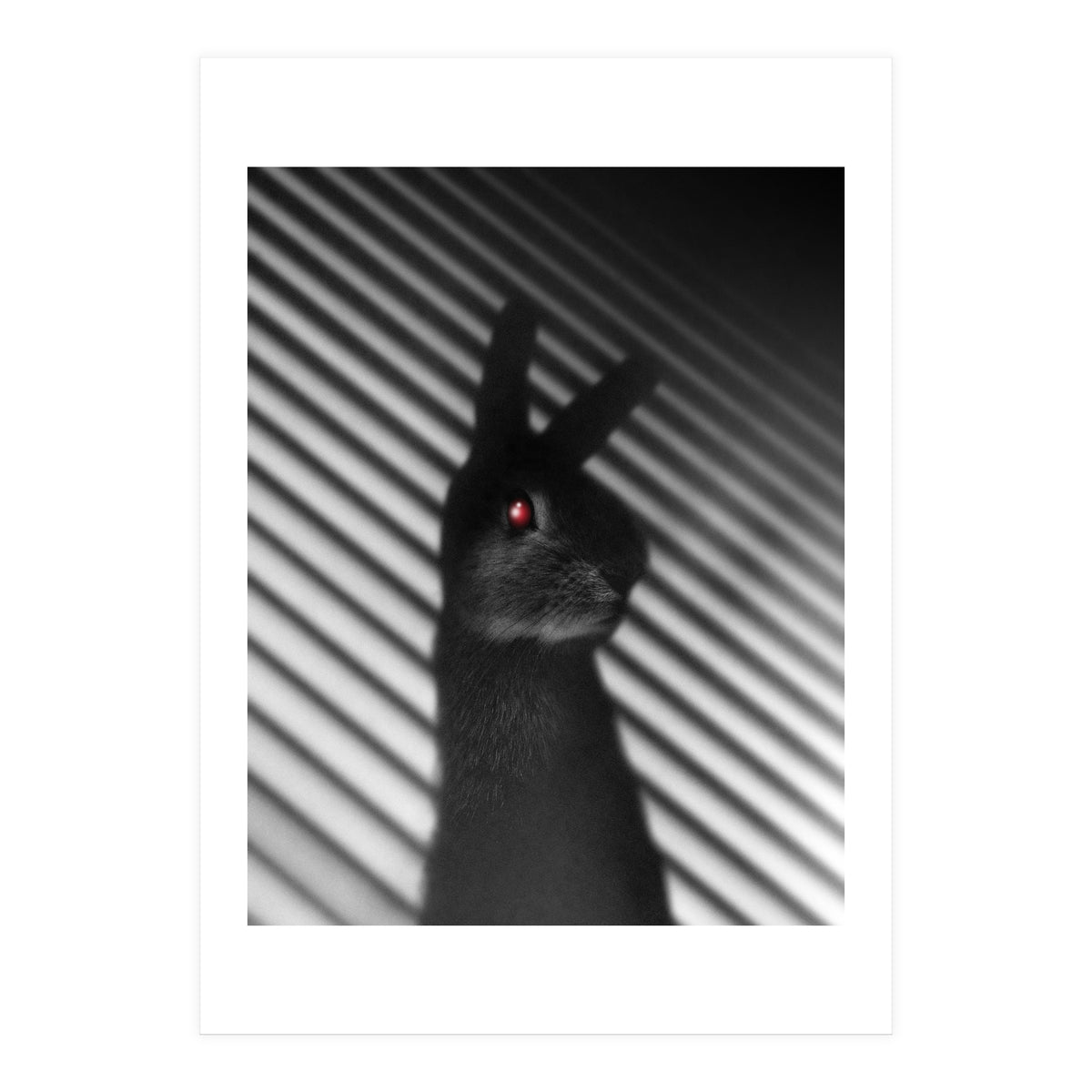 Shadow Bunny (Print Only)