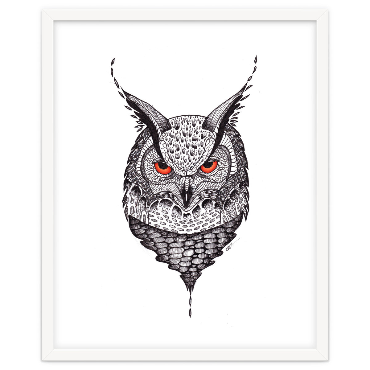Owl