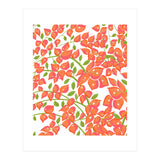 Bougainvillea Blush (Print Only) thumbnail
