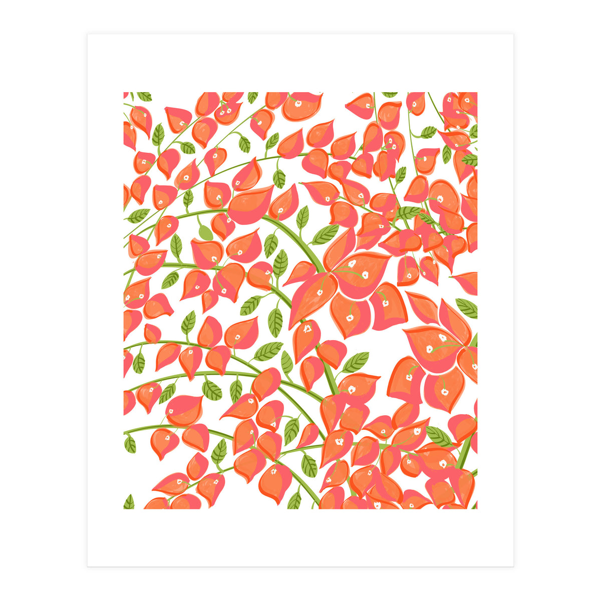 Bougainvillea Blush (Print Only)