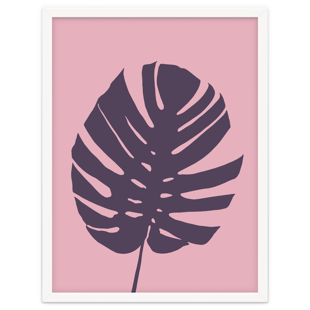 Monstera Deliciosa III