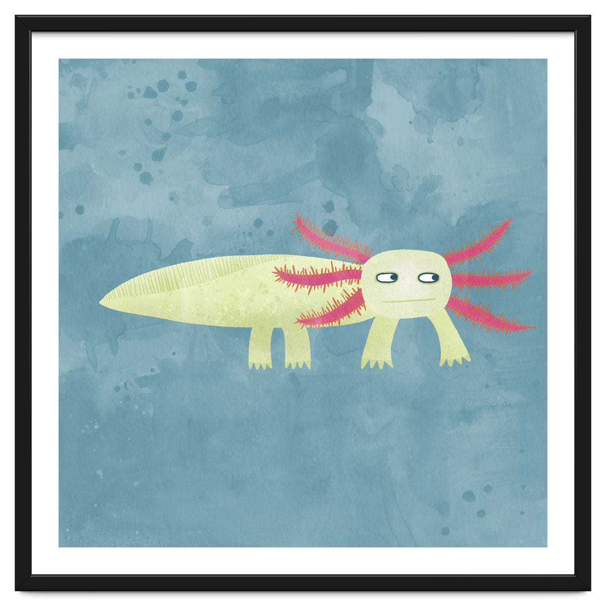 Axolotl