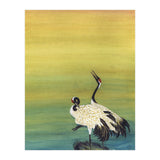 Cranes at Dawn (Print Only) thumbnail