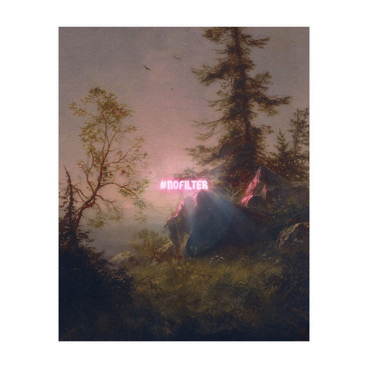 No Filter (Print Only)