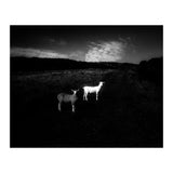 black and white (Print Only) thumbnail