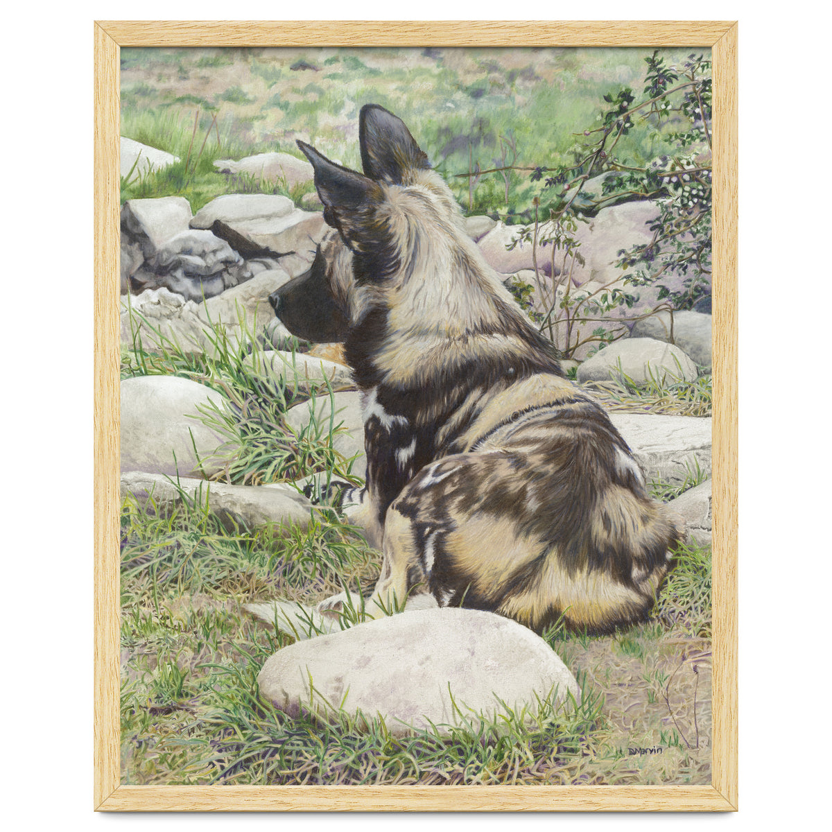 African Painted Dog I