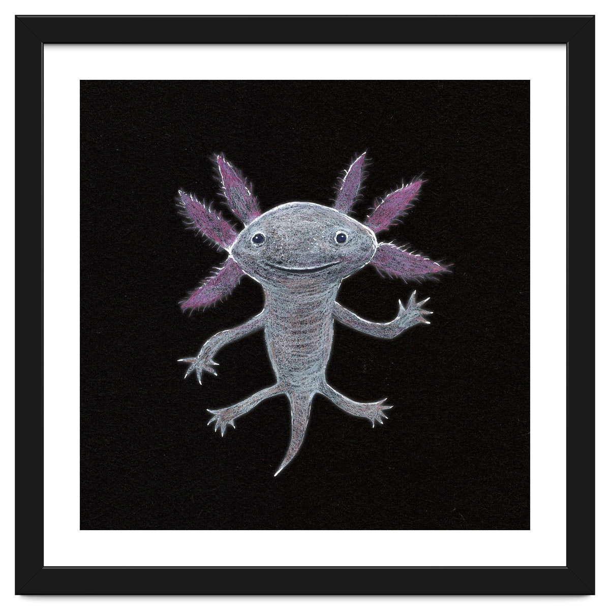 Axolotl