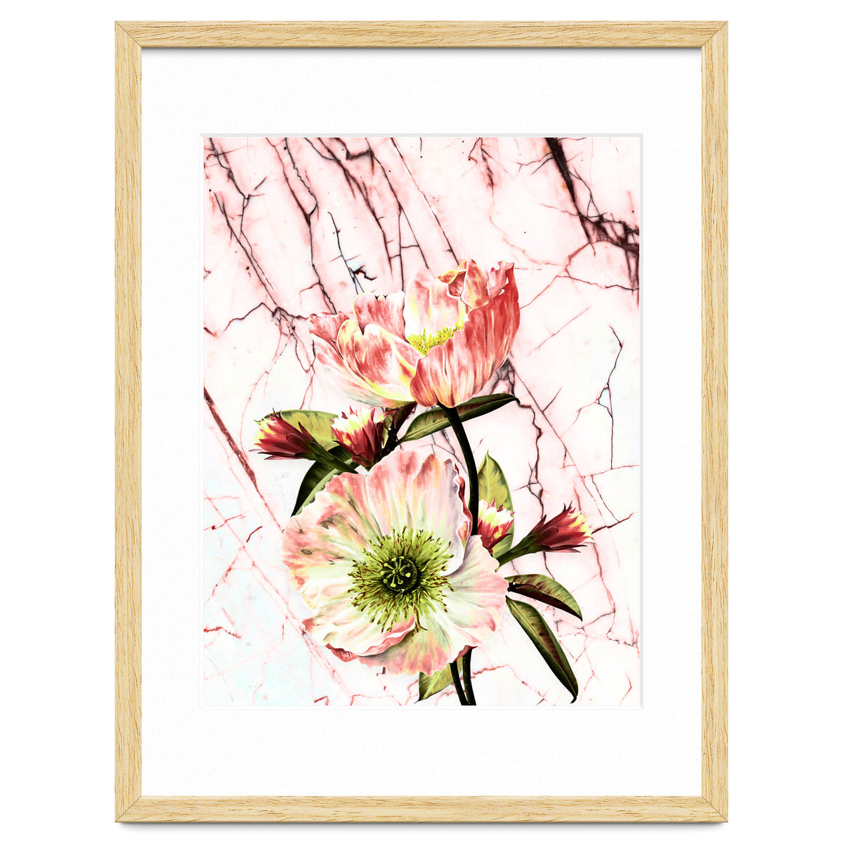 Flowering on pink marble